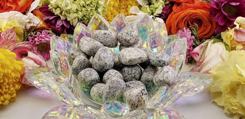 2023-02-15-201314-1-1